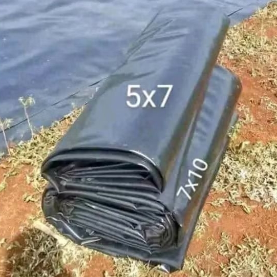 KARPET TERPAL TAMBAK TEBAL 0.5 KES