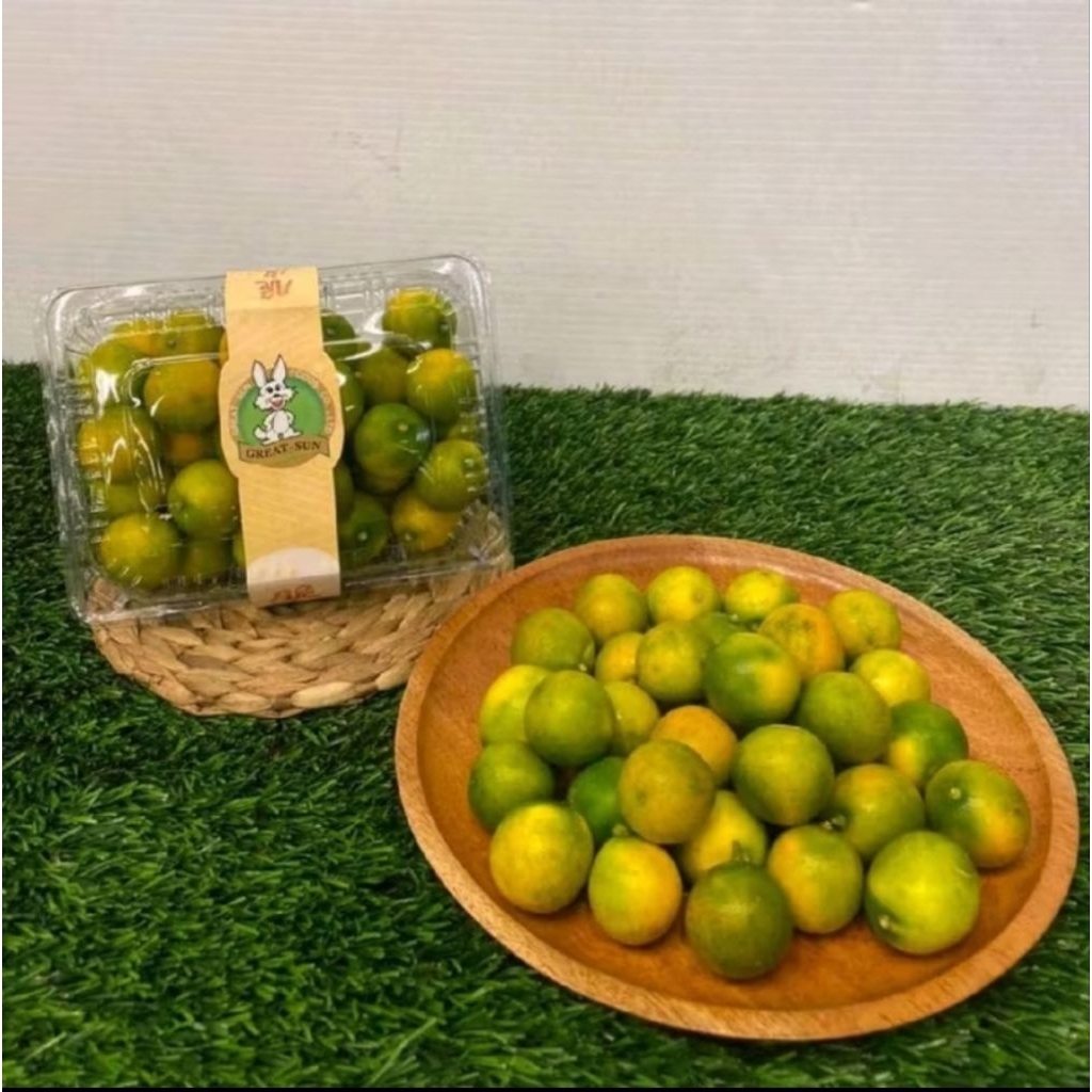 kimkit super fresh kimkit madu segar -+ 400 gram