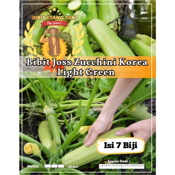Bibit Joss Zucchini Korea Light Green | Biji Benih Zucchini Korea | Zucchini Light Green