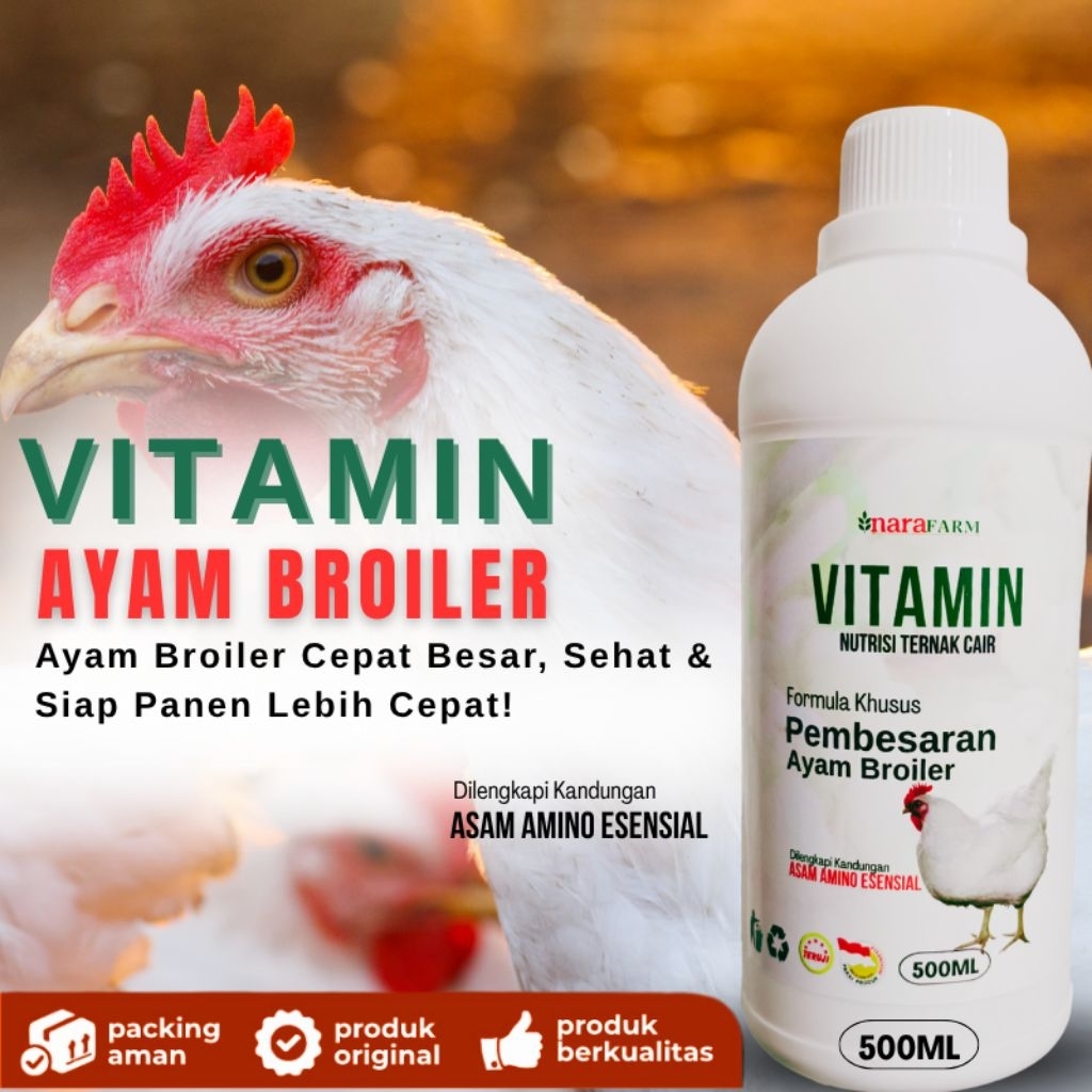 Vitamin Ayam Broiler/nutrisi ayam pedaging cepat gemuk nafsu makan naik