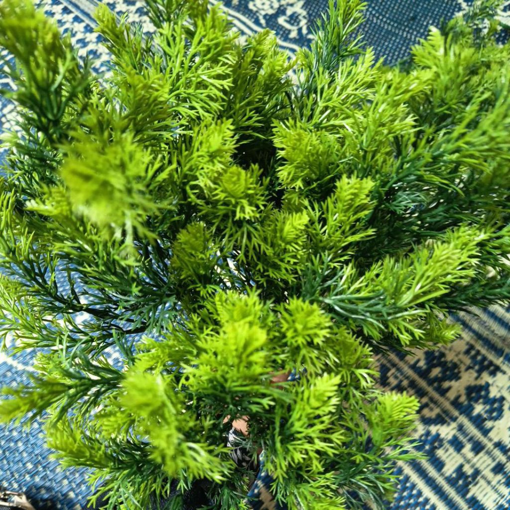 rumput plastik#rumput taman # rumput akuarium