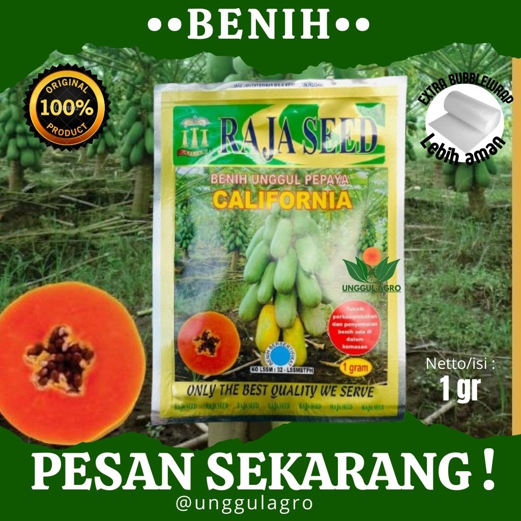 Benih pepaya california CALIFORNIA 1gram dari raja seed