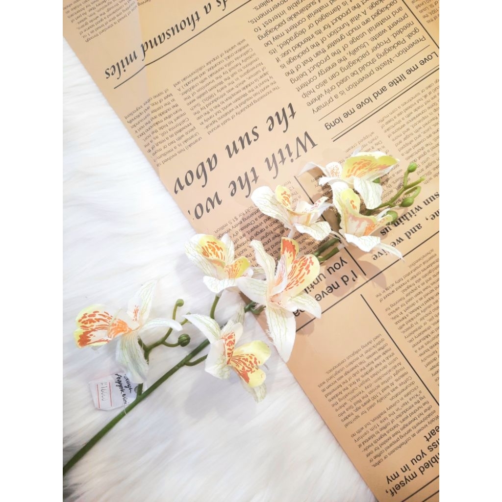 [1 TANGKAI] Anggrek Mini /Bunga Anggrek Estetik / Import / Hiasan Estetik