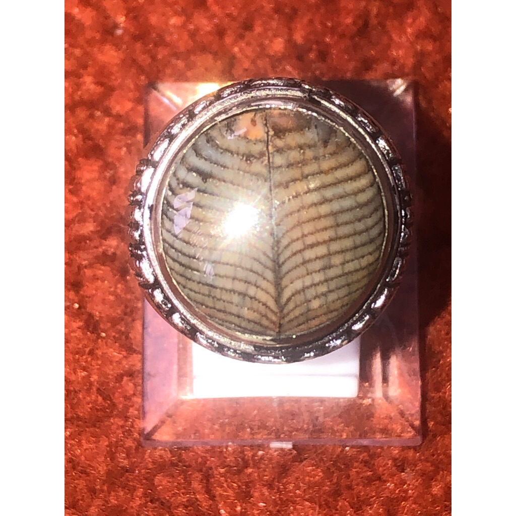 batu jipen motif blarak sineret