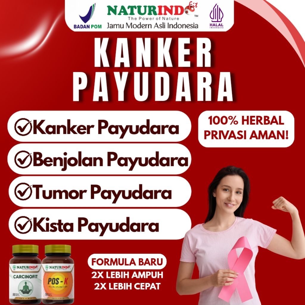 Obat Benjolan Payudara Kanker Payudara Kista Payudara Ampuh Herbal Naturindo