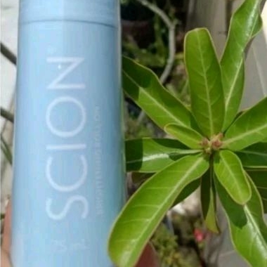 scionn nu skin whitening roll on 1 pcs