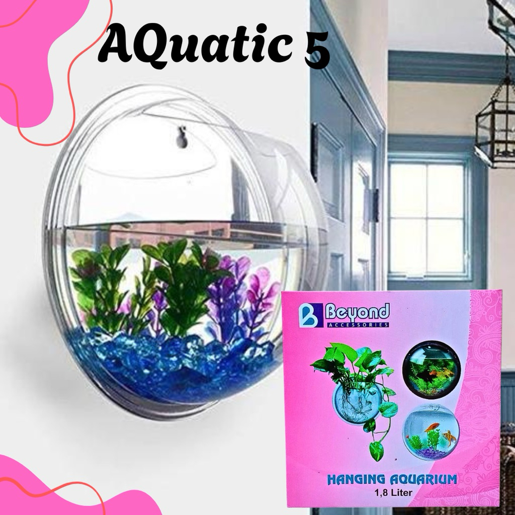 BEYOND HANGING AQUARIUM AQUASCAPE MINI AQUARIUM DINDING