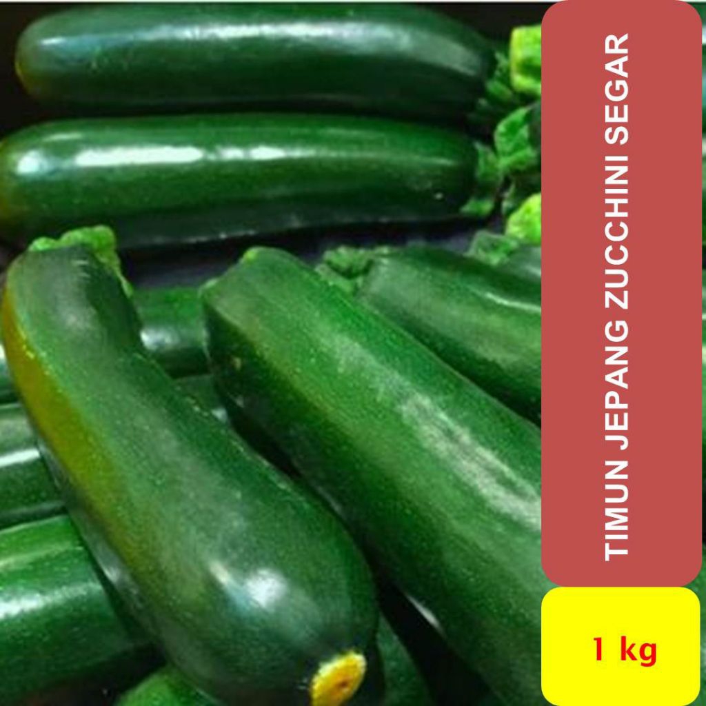 timun zucchini segar 1kg original