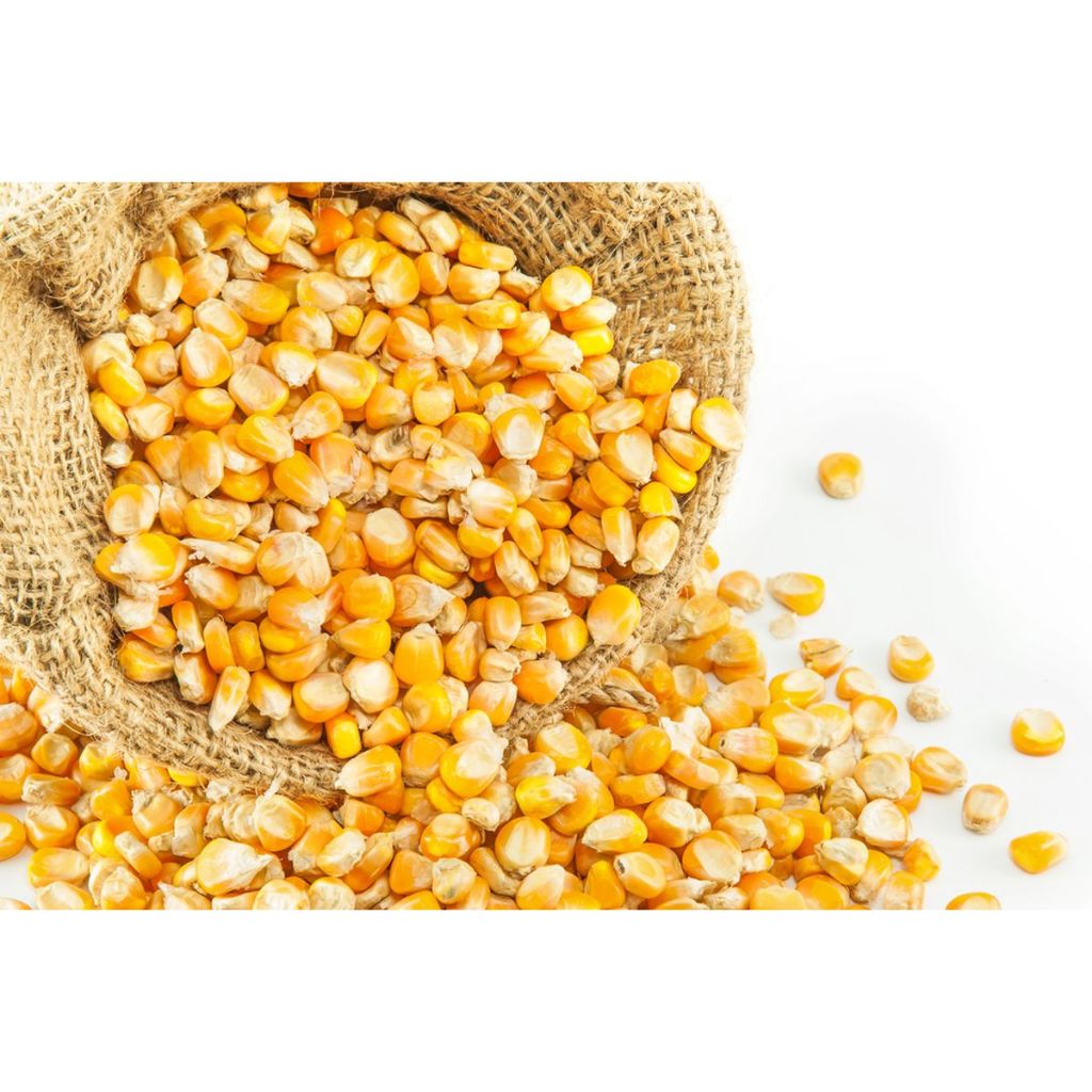 Jagung Pop Corn 500gr Kemasan Repack - Jagung - Pop Corn