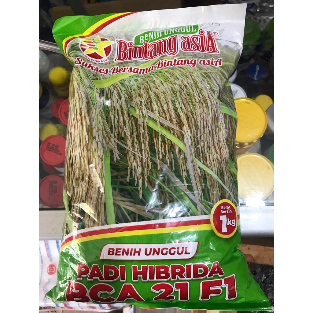 Benih BCA 21 F1 1 kg (Padi Hibrida)