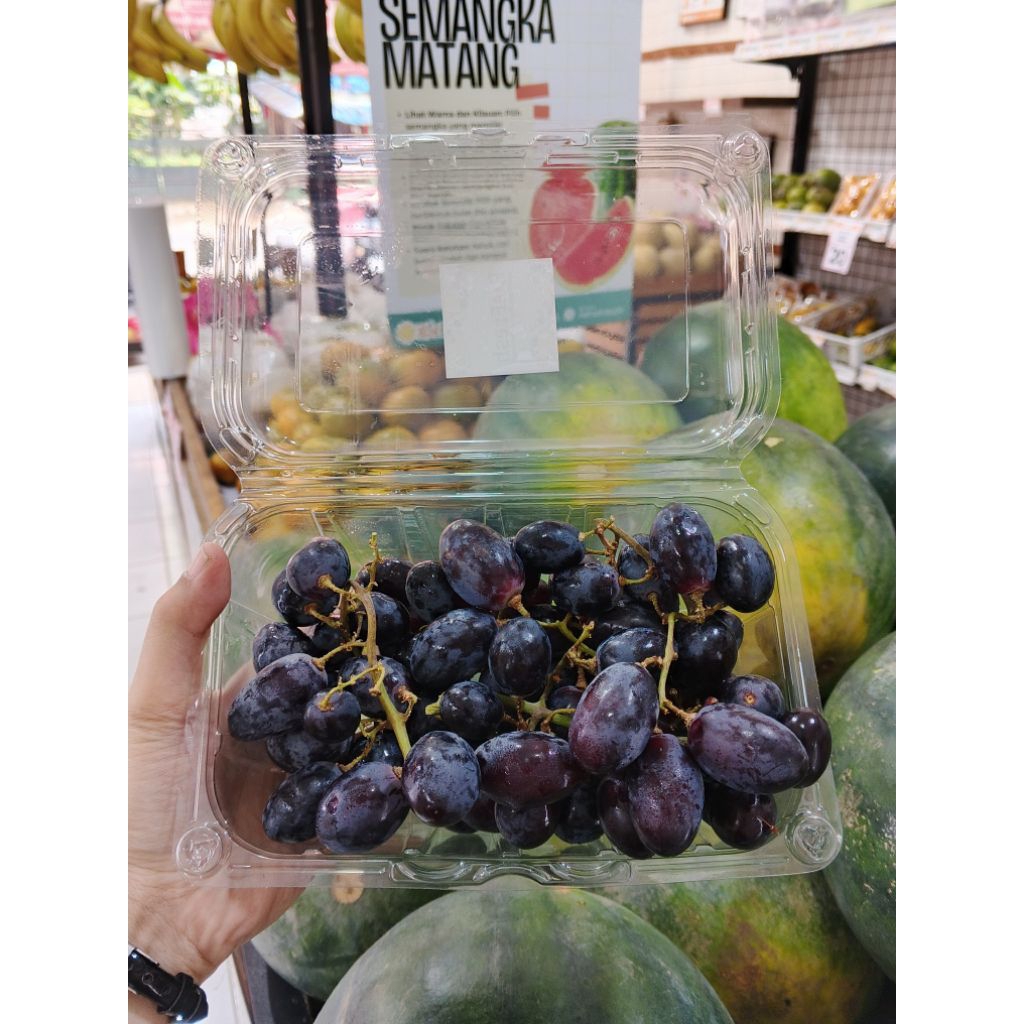 AnggurHitamAutumnRoyal(USA)