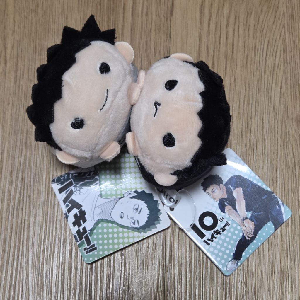 haikyuu noru iwaizumi hajime