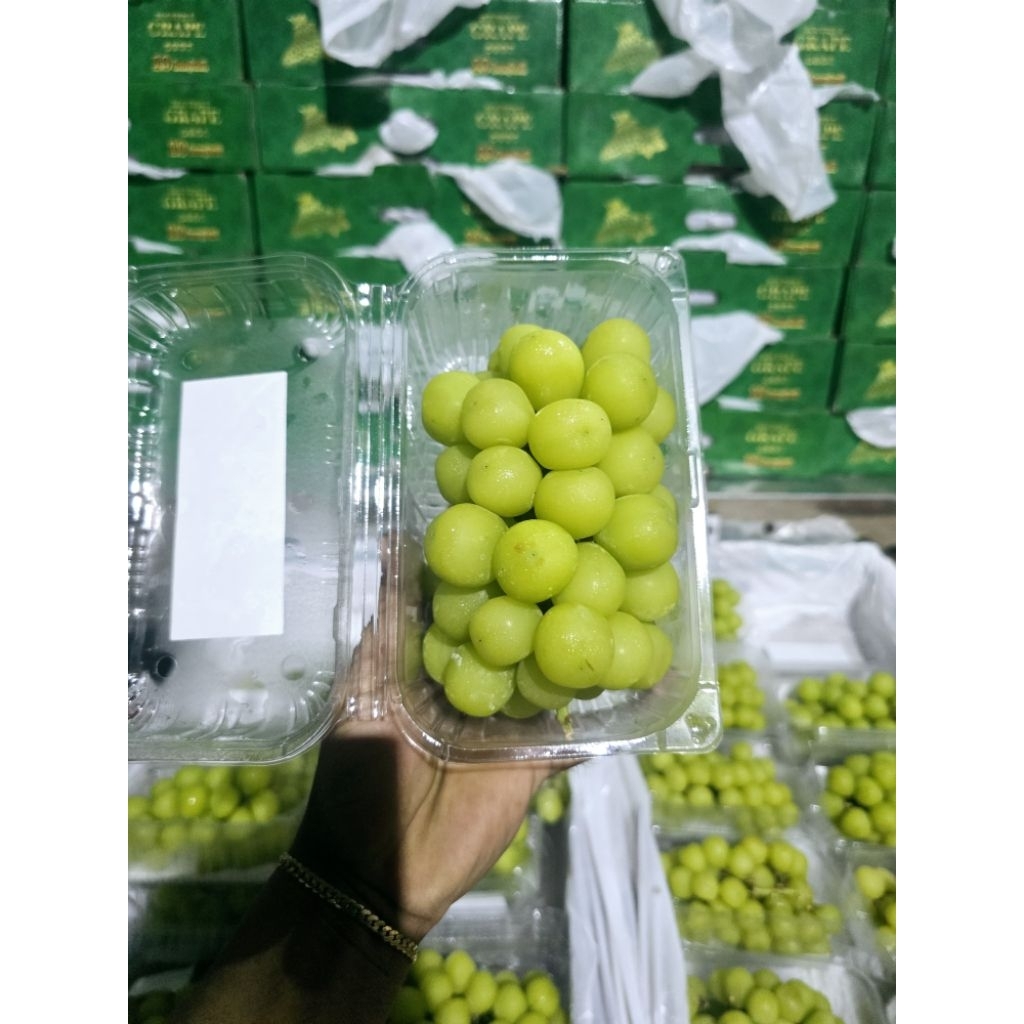 Anggur Muscat Hijau box 500grm