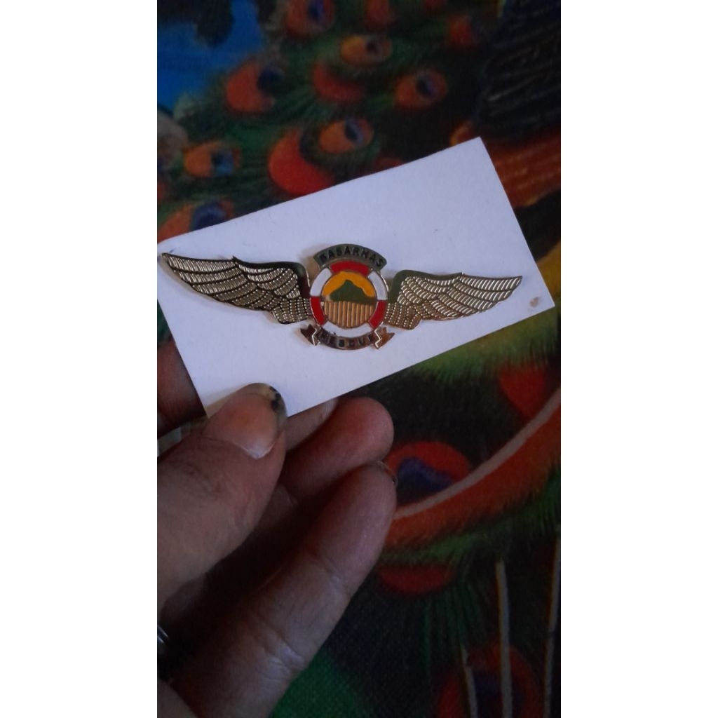 wing basarnas brasoan