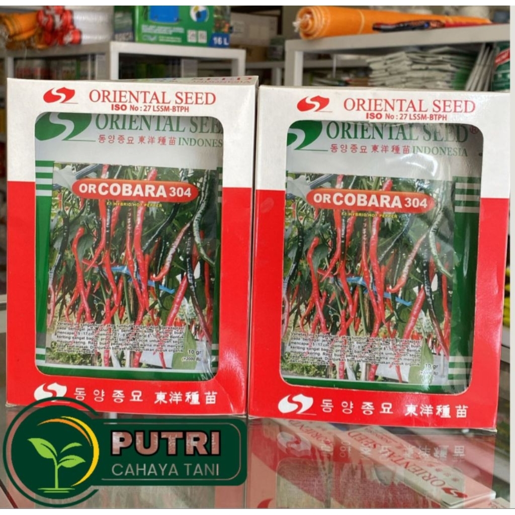 Bibit Cabai Keriting OR COBARA 304 10 Gram