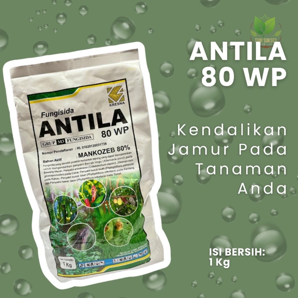 ANTILA 80 WP (FUNGISIDA)