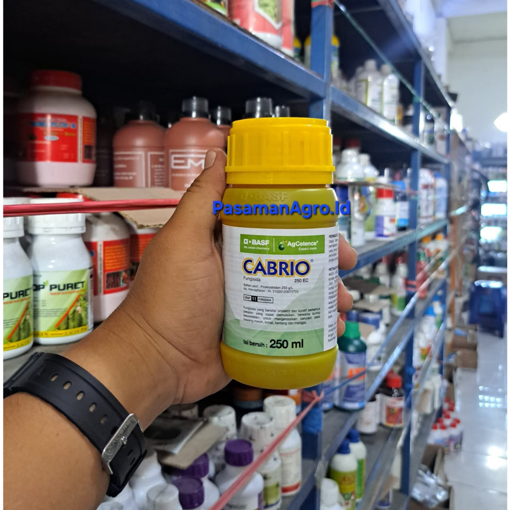 FUNGISIDA CABRIO 250 EC - 250 Ml