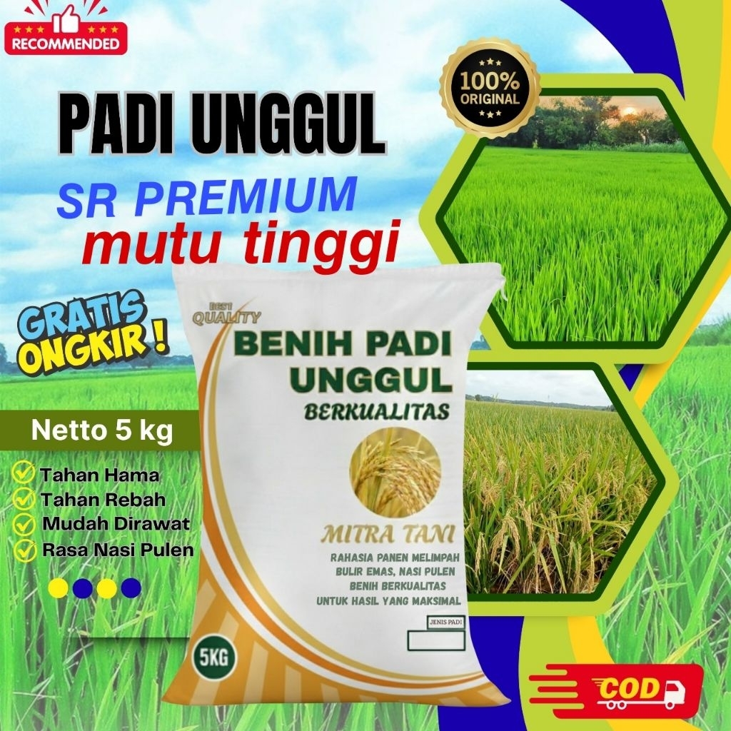 bibit padi SR PREMIUM kemasan 5kg