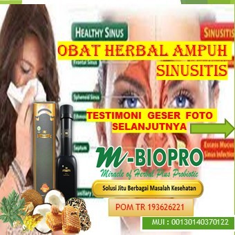 OBAT SINUSITIS KRONIS ii OBAT GURAH SINUSITIS ii OBAT GATAL SINUSITIS ii OBAT SINUSITIS AKIBAT GIGI 