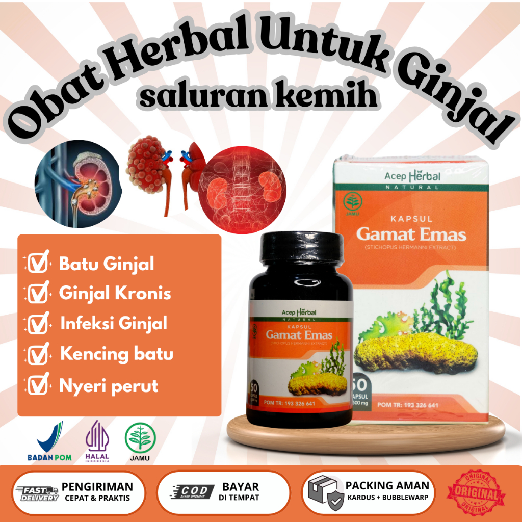 Obat Herbal Ginjal, Gagal Ginjal Obat Infeksi Ginjal, Infeksi Batu Ginjal, Infeksi Saluran Kemih