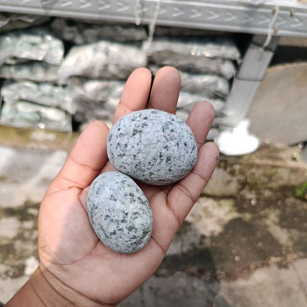 Batu Koral Puyuh Putih Abu – Koral Taman Hias / Batu Tabur Taman / Koral Dekorasi