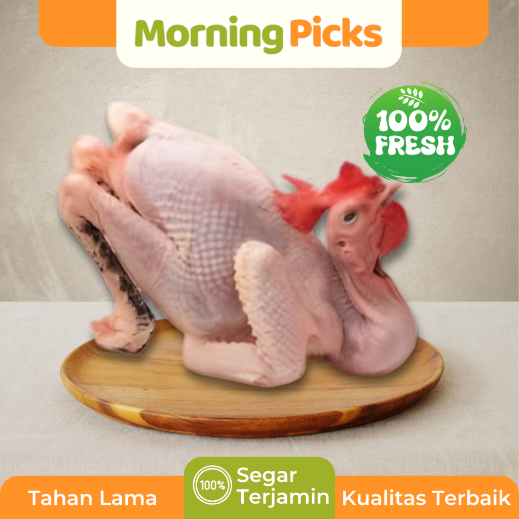 Ayam Kampung Liar Jago / Jantan Asli Fresh Potong Morning Picks