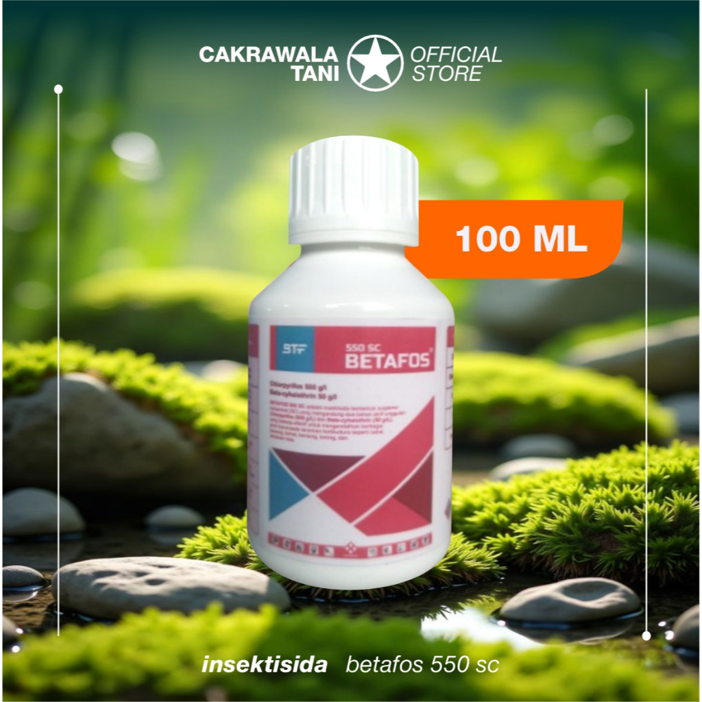 BETAFOS 550 SC 100ml | Insektisida Ulat Grayak Wereng Sundep | Klorpirifos + Beta-sihalotrin