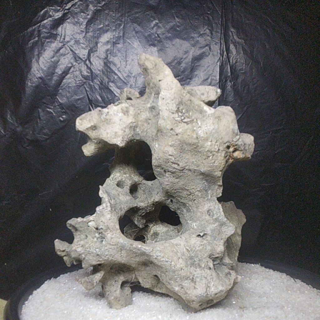 BATU KARANG GUNUNG UNTUK BONSAI DAN AQUASCAPE TERMURAH