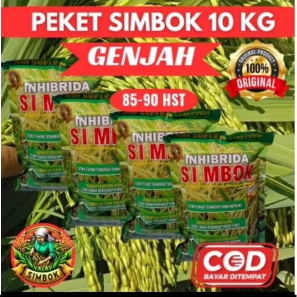 (10KG+1 genjah ) Benih padi simbok genjah umur pendek 80-90 hst original 100% bibit
