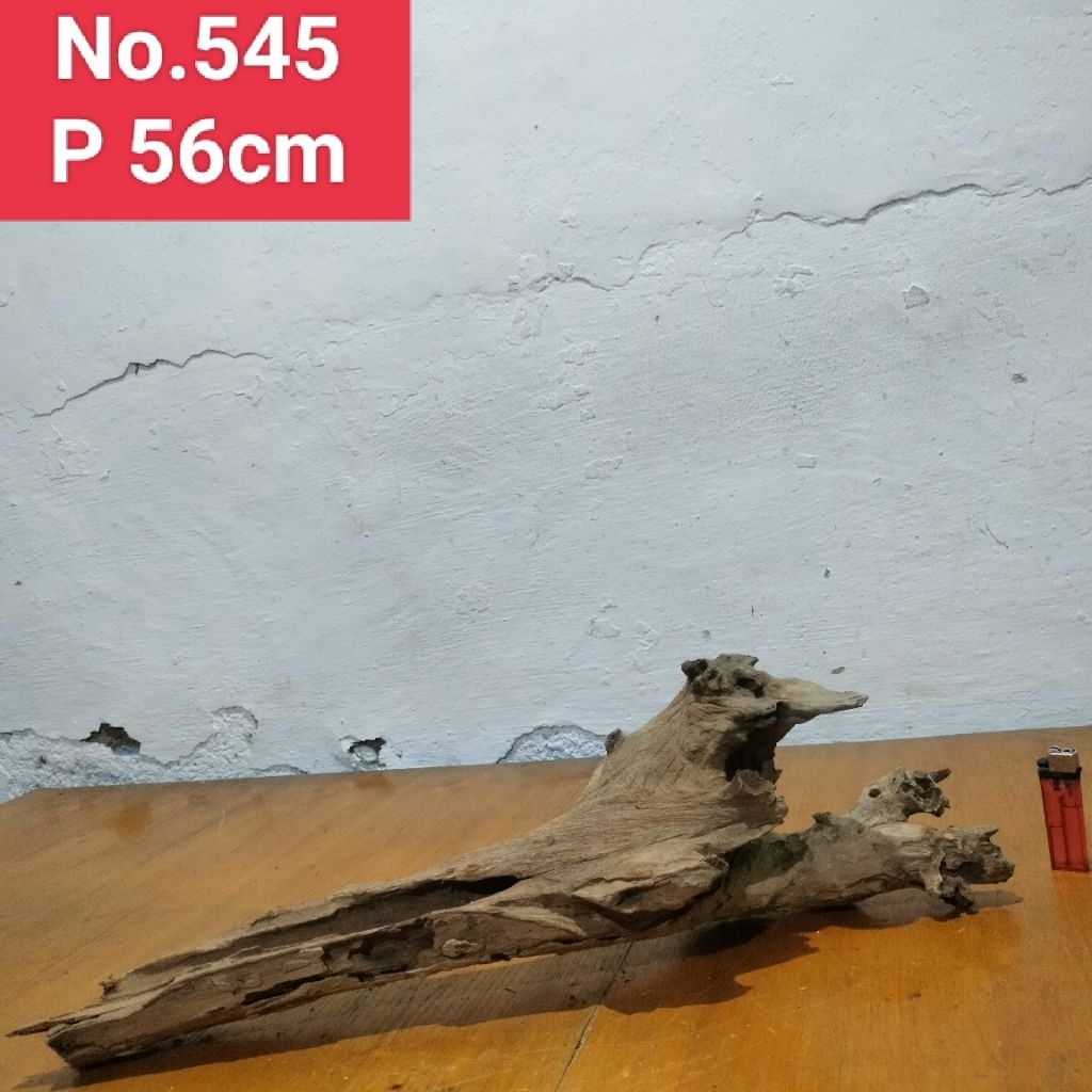 akar santigi laut kayu santigi laut dekorasi aquascape aquarium 545