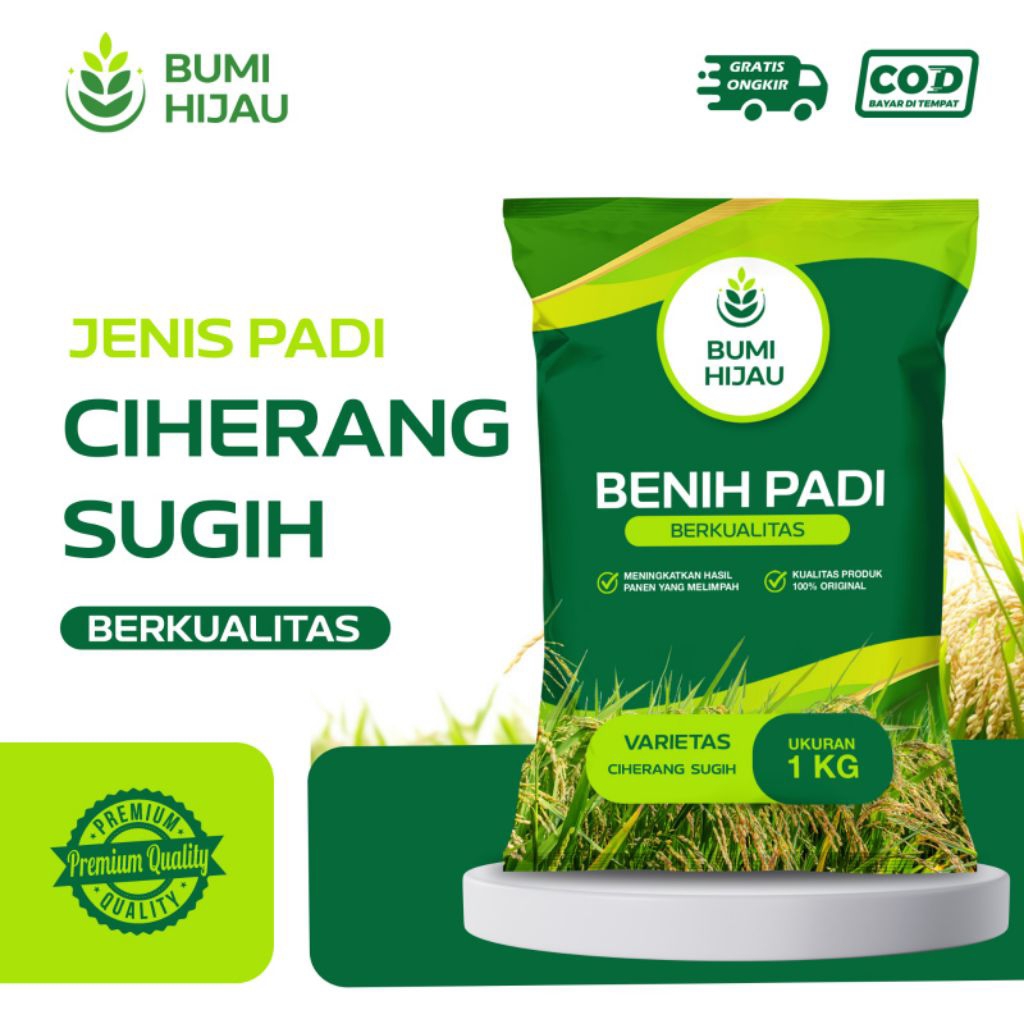 BIBIT PADI BENIH PADI CIHERANG SUGIH KEMASAN 1KG KUALITAS SUPER PREMIUM
