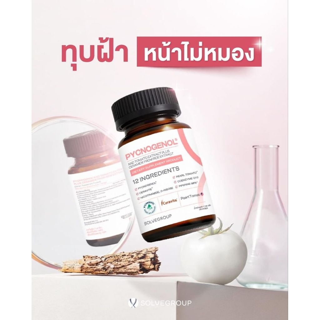 PYCNOGENOL SOLVEGROUP ORIGINAL