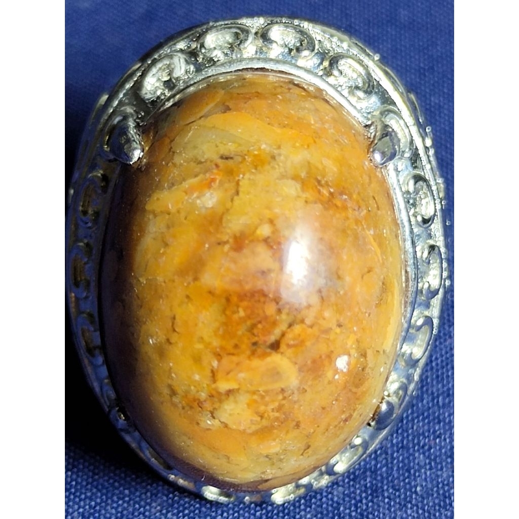 Natural Asem Petrified Wood, FACE / Batu Fosil Kayu Asem, WAJAH