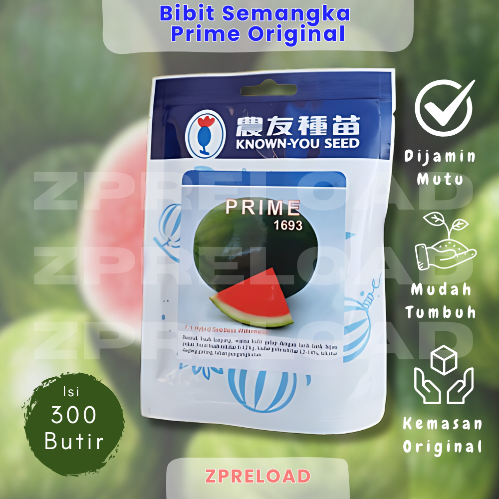 STOK TERBATAS BIBIT SEMANGKA NON BIJI F1 PRIME 20 GR 300 BUTIR KUALITAS SUPER BARANG ORIGINAL