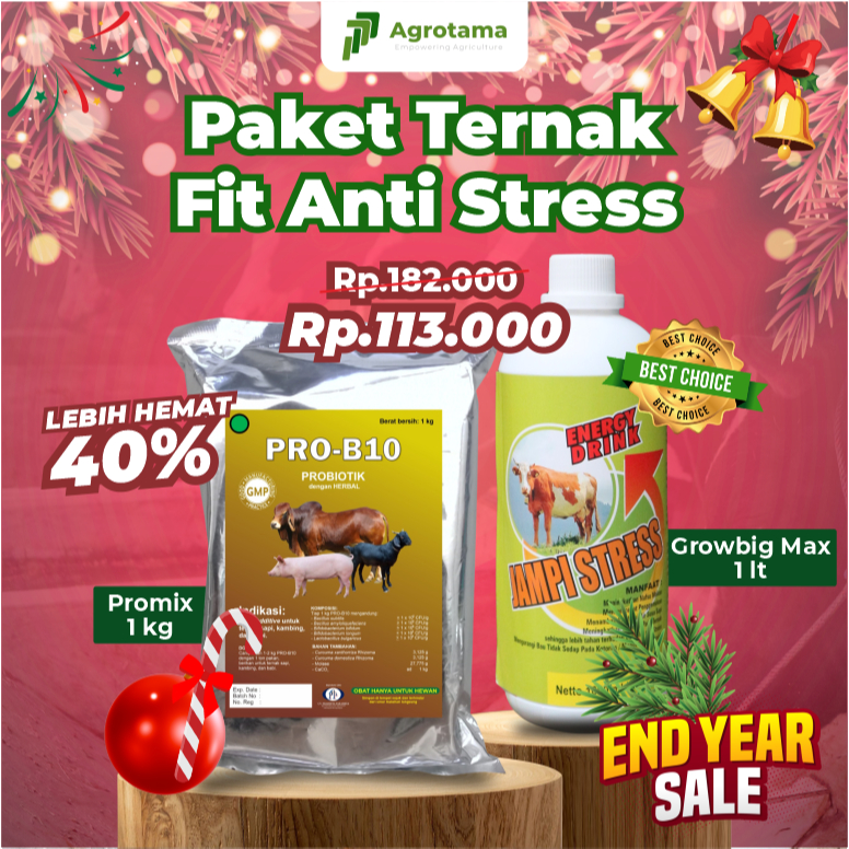 Paket Lengkap Probiotik Ternak Sapi - Pro-B10 (1 Kg) dan Jampi Stres Sapi (1 L) - Meningkatkan perfo