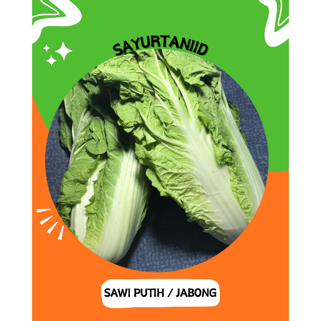 Sawi putih segar / sawi jabong