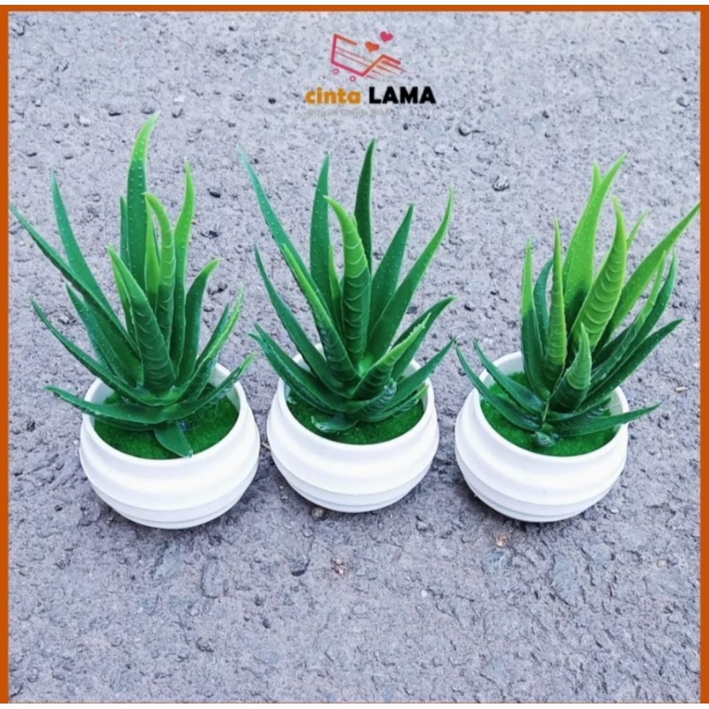 Tanaman Hias Plastik Pot Bunga Daun Lidah Buaya Mini Artificial Import Ornamen Dekorasi