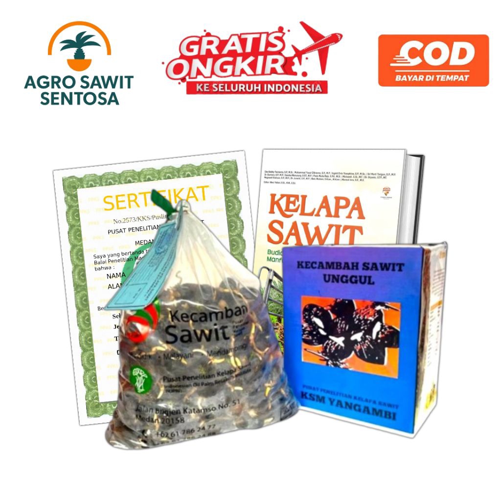 Bibit Benih Kecambah Kelapa Sawit Unggul KSM Yangambi Bersertifikat