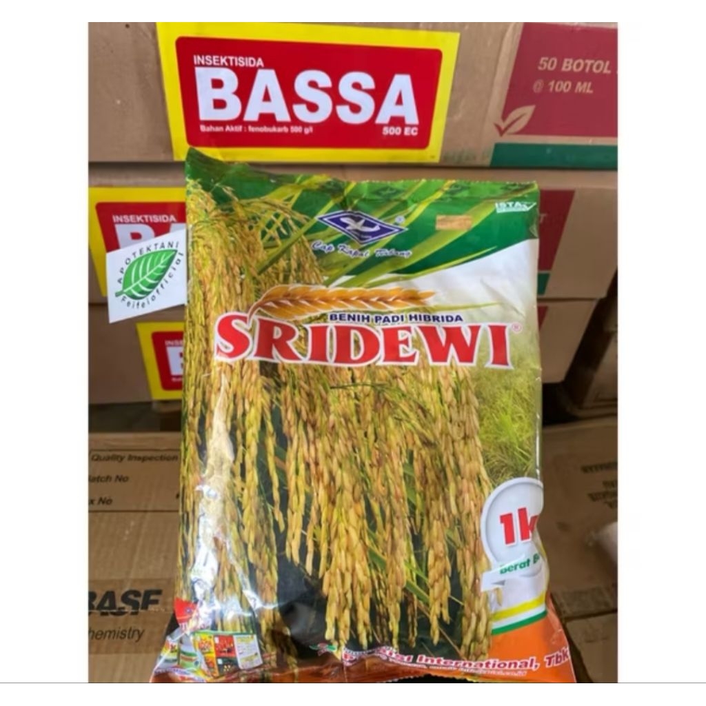 benih padi unggul berkualitas SRIDEWI, kemasan 5kg