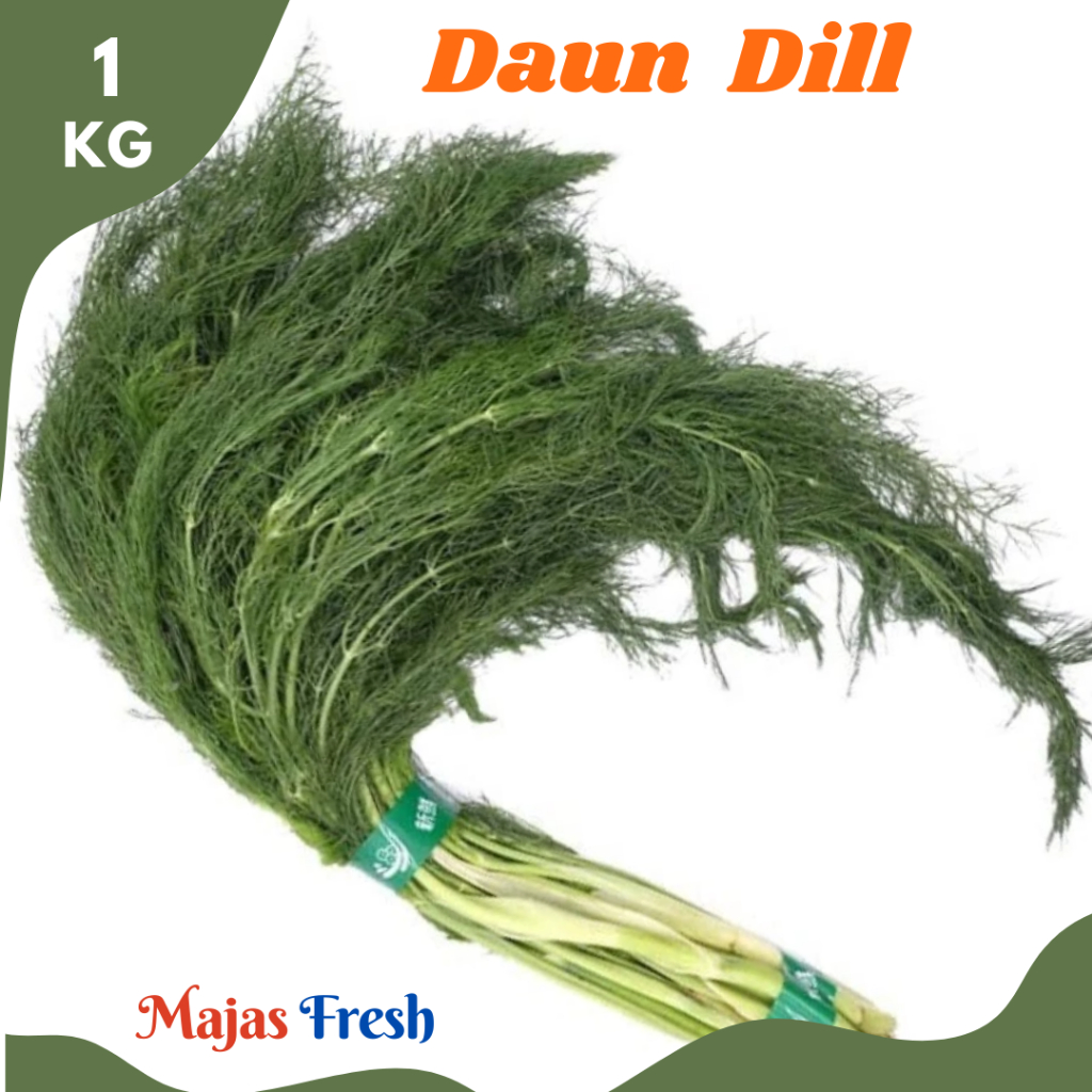 DAUN DILL Hijau Segar - Daun Adas Sowa Fresh | 1.000gr [ Harga Per KG ]