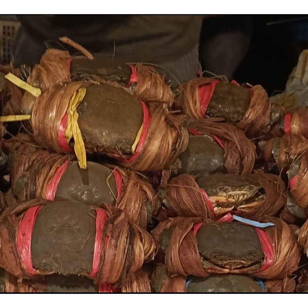 Kepiting bakau/kepiting jawa