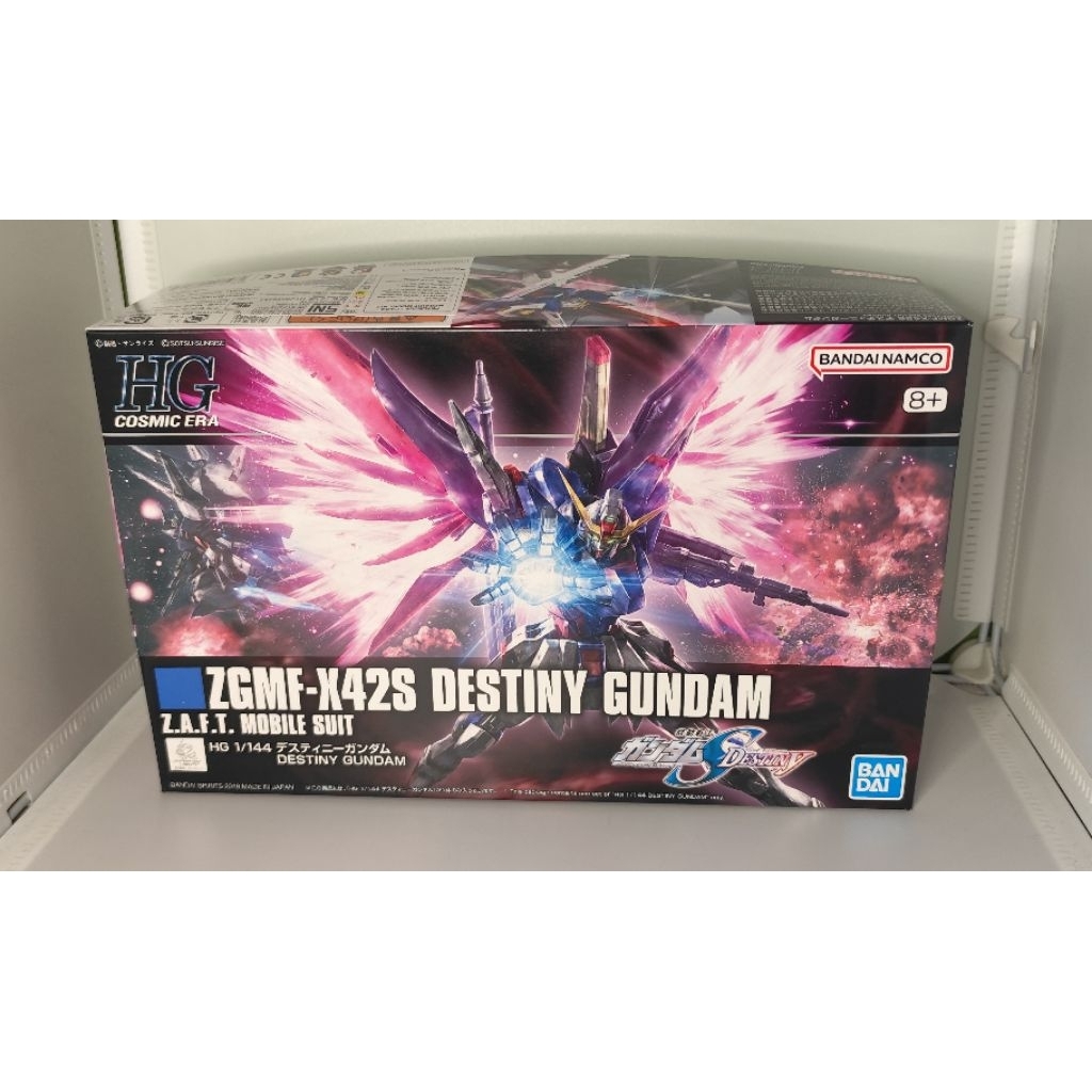 hg Destiny Gundam 1/144