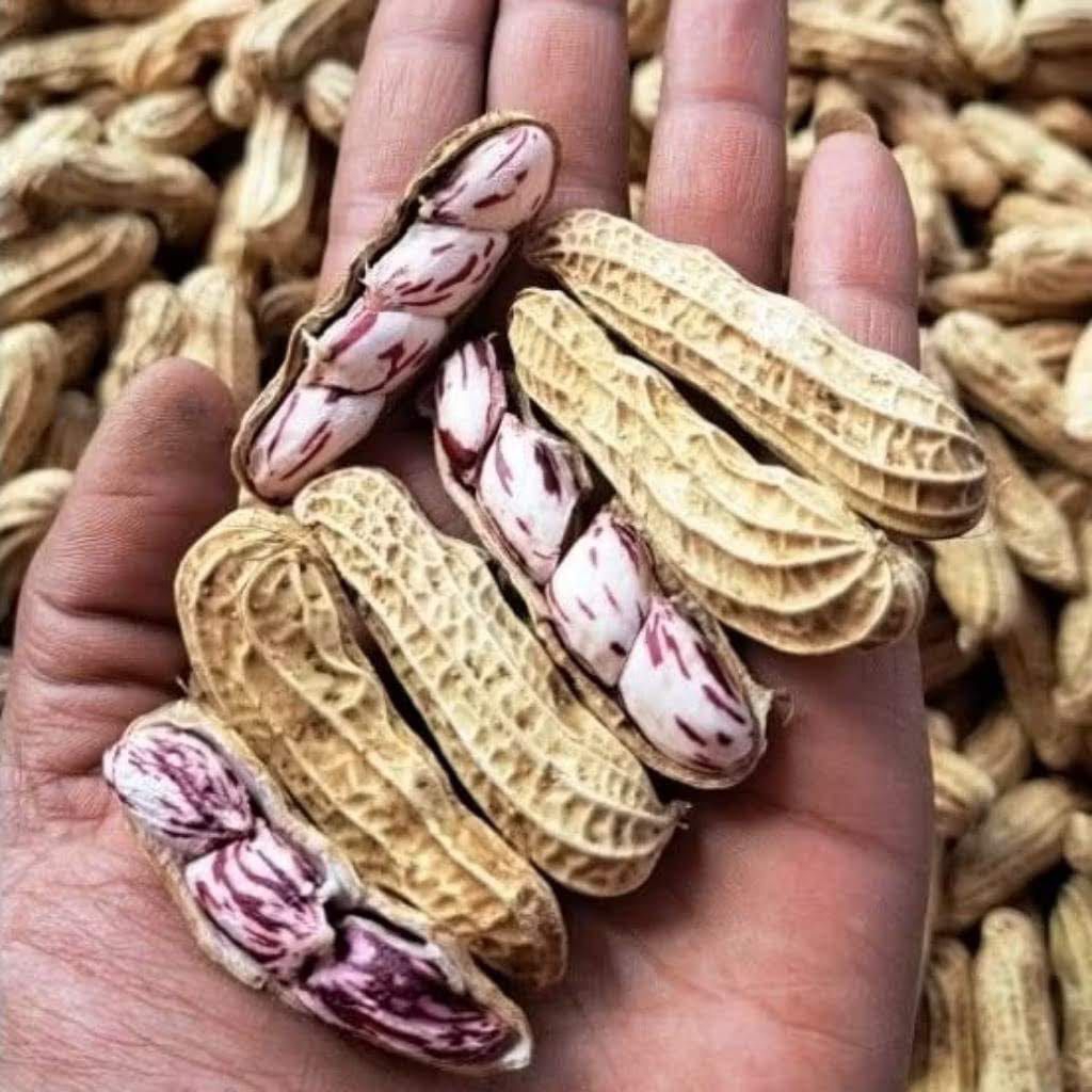 kacang madu/kacang lurik 1kg