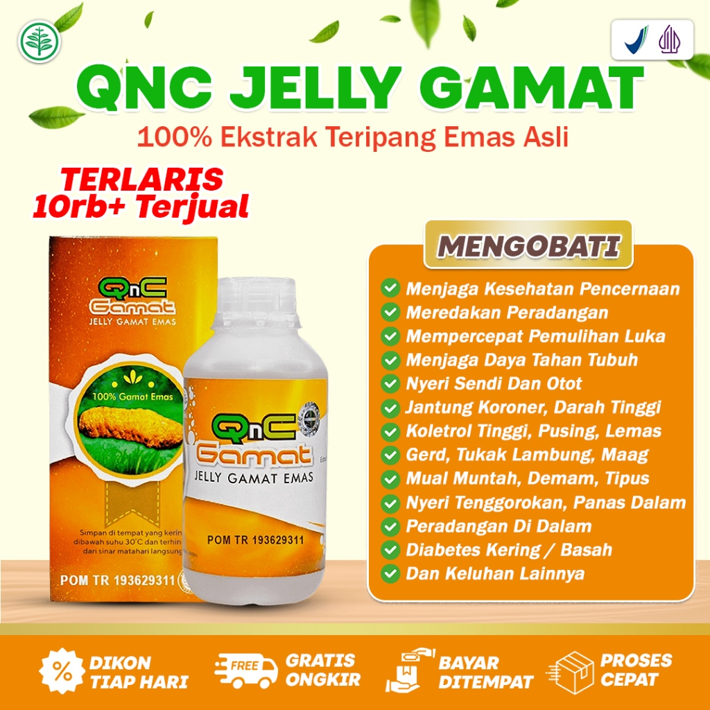 Qnc Jelly Gamat Mas Asli 100% Original - gamat gold original - jelly gamat - jelly gamat gold g asli