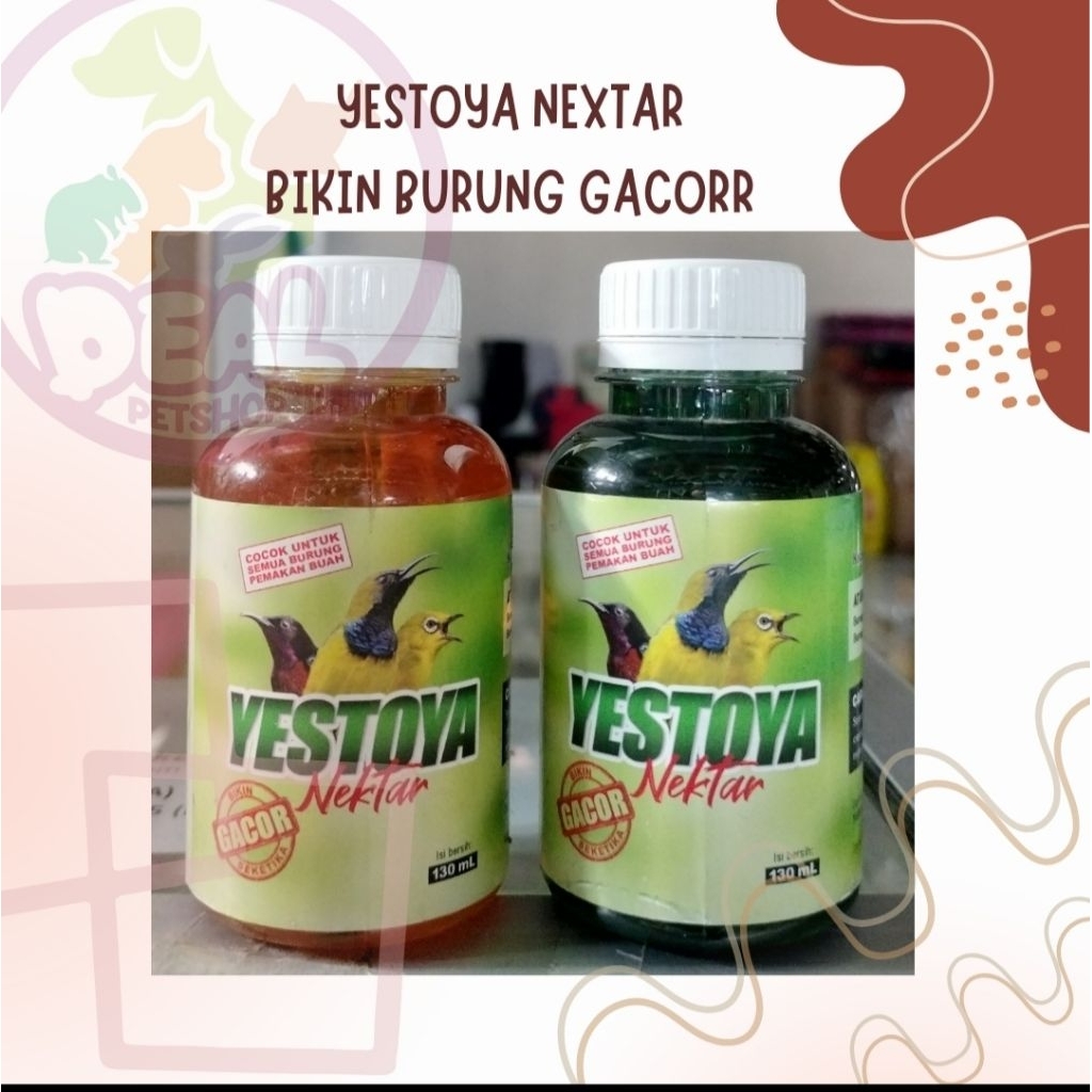 YESTOYA NEXTAR BIKIN BURUNG SEMAKIN GACOR