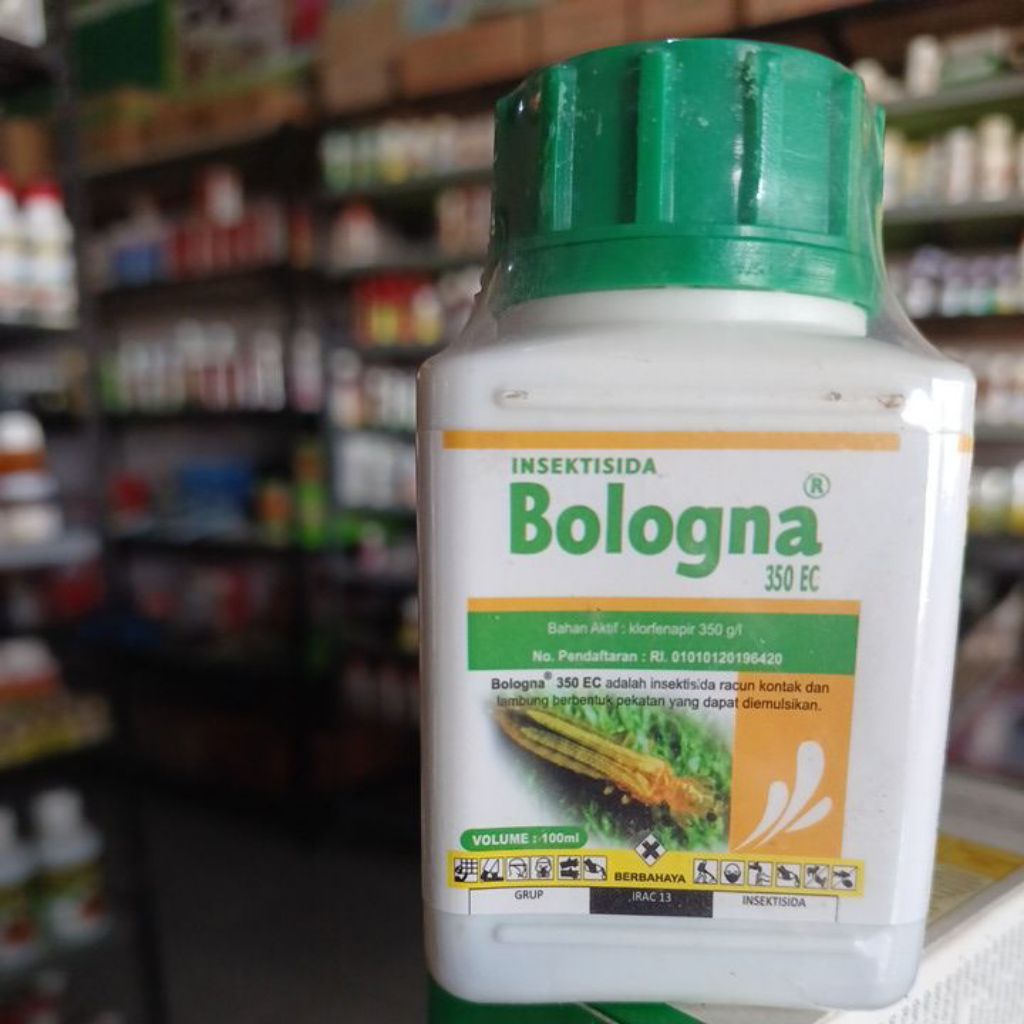 BOLOGNA 350EC insektisida
