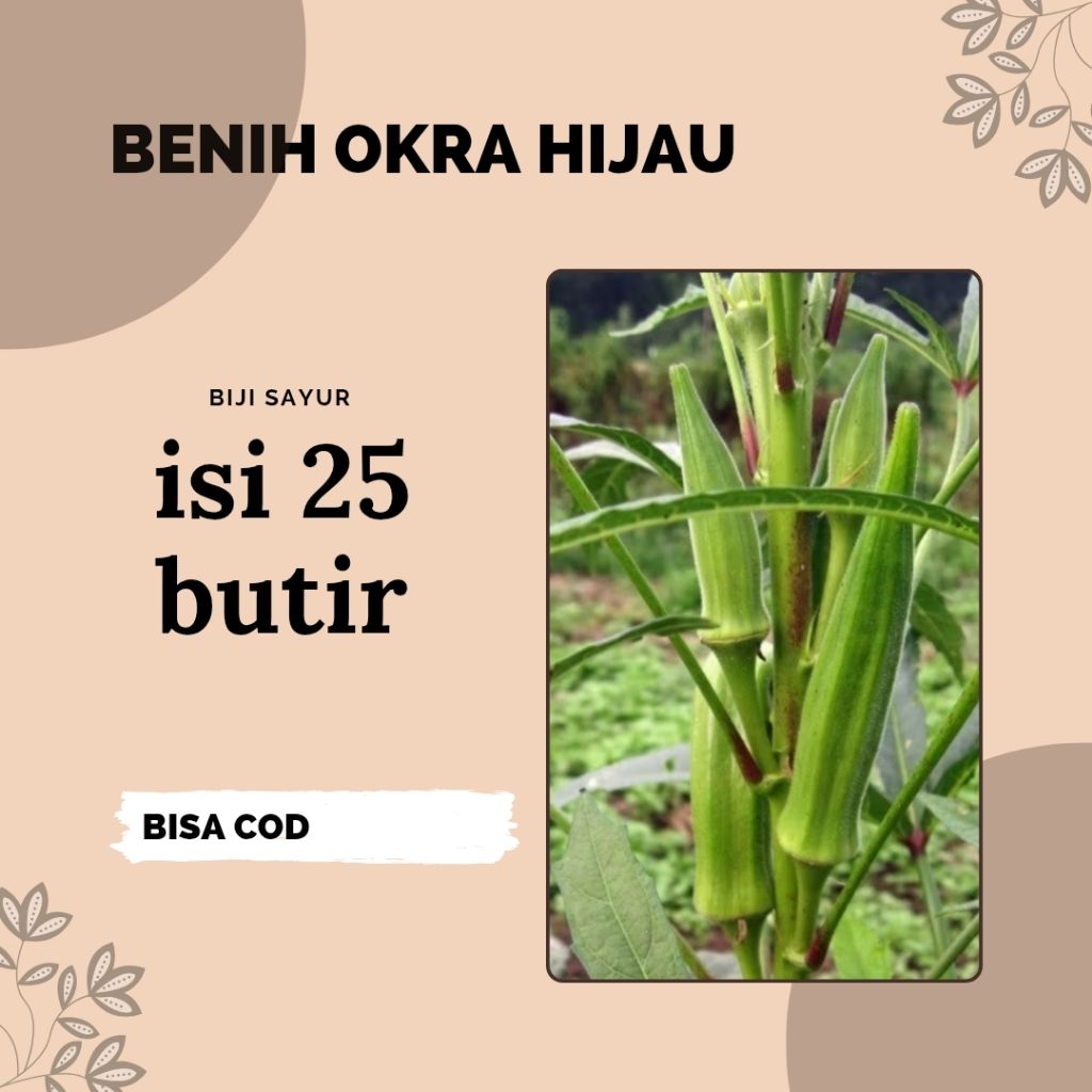 25 butir biji benih sayur okra hijau