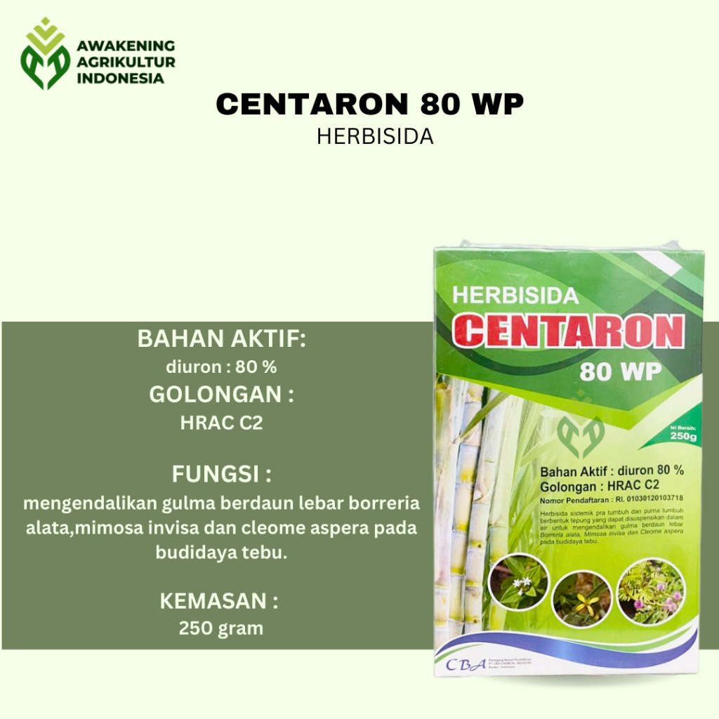 CENTARON 80WP 250GRAM HERBISIDA