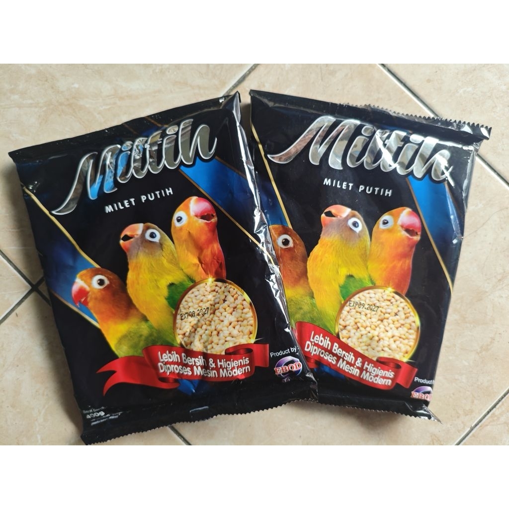 MILTIH LOVEBIRD EBOD JAYA PAKAN HARIAN LOVEBIRD BERSIH