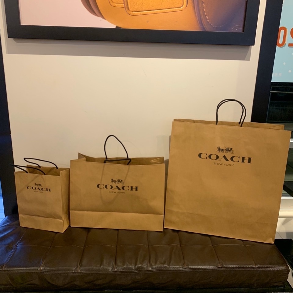 COACH Evelyn Shoulder Bag With Quilting Medium-Sized Link Bag/Shoulder Bag/Hand Bag COACH Bag COACH 